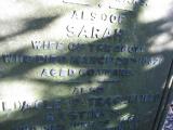 image of grave number 504717